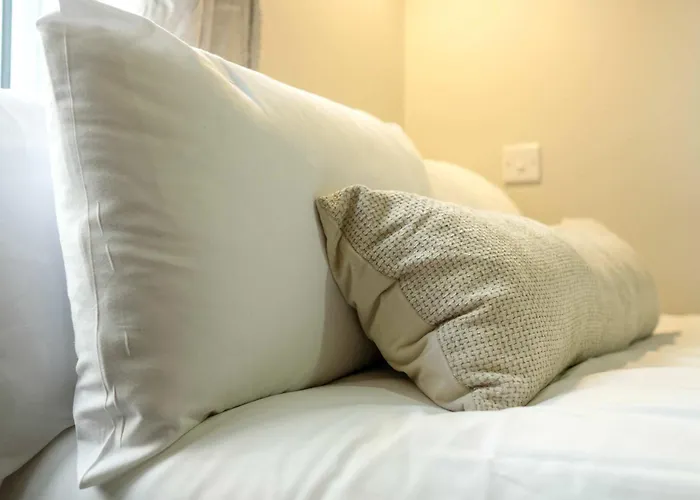 The Willow - 13 Bristol